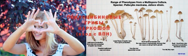 мяу мяу кристалл Алзамай