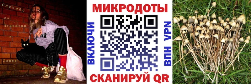 Купить  Фурманов  Псилоцибиновые грибы Psilocybine cubensis 